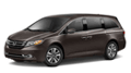 New Odyssey